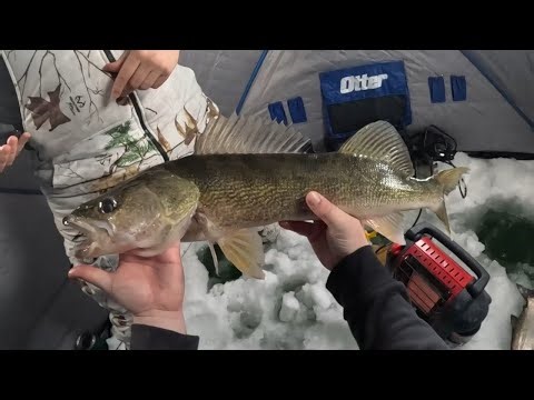 SUPER LONG Walleye - Another new PB with the Lowrance Eagle Eye 9"
