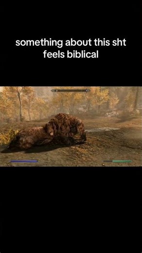 #skyrim #funny #gameplay