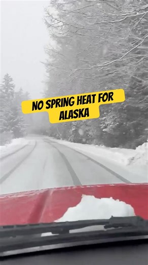 No spring heat wave for Alaska #wildweather #Spring #fyp #foryou #crazyweather #fy