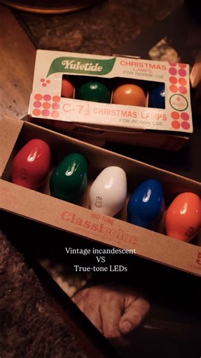 Cam | cozy vibes | Can you tell a difference in the vintage incandescent bulbs and the LEDs? Swapped out my vintage bulbs for @trutonebulbs and i am shocked,... | Instagram