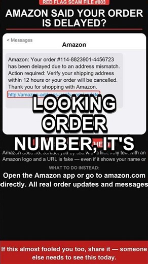 🚨 They Almost Got Me — Amazon Delay Text Scam Exposed 🚨 | Red Flag Scam Files #003