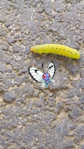 POV: The Caterpie is still here! 🐛✨ Part 2 #Pokemon @pokemongo