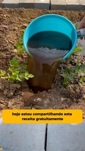 Esse adubo caseiro é tão eficiente que muitos produtores nem gostam de revelar o segredo 🪴 Com apenas dois ingredientes simples, você estimula raízes fortes, folhas mais verdes e uma produção muito maior. 🌻 👇 Receita completa: Misture 150 g de açúcar mascavo 15 g de bicarbonato de sódio em 15 litros de água. Use para regar diretamente as raízes. Essa solução ajuda no enraizamento, aumenta a floração e melhora o desenvolvimento dos frutos. 🍅🥒 💡 Quer aprender mais receitas naturais para tran