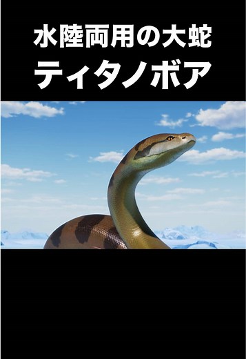 水陸両用の大蛇 ティタノボア #雑学 #最強 #対決