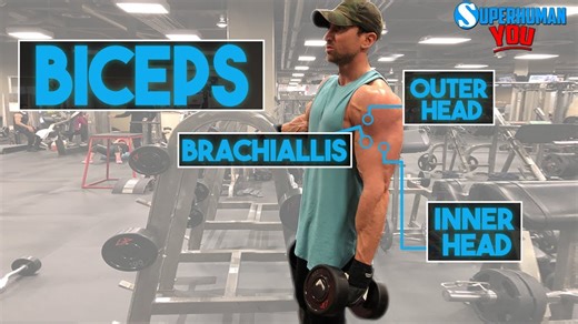 Science of biceps uses a science-backed workout to add inches