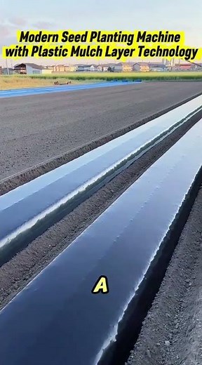 Modern Seed Planting Machine with Plastic Mulch Layer Technology. #modernfarming