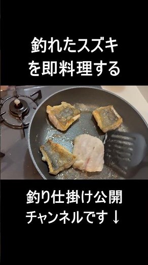 釣れたスズキ即料理の方法と仕掛け 見たらお得だよ～ん #釣り #大人初心者 #fishing #神戸市 #神戸市