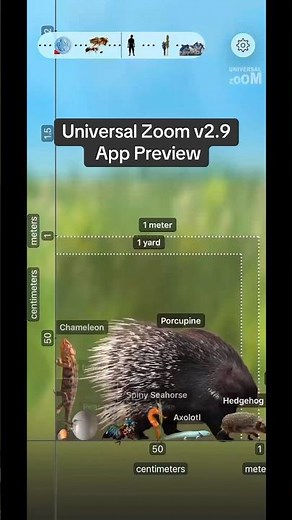 Universal Zoom v2.9 App Preview. 18 new objects + 40 languages. Don’t forget to update your app!