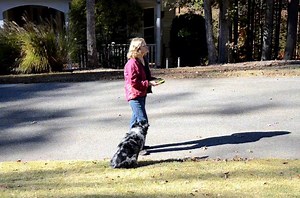 Nikon D7000 640 x 424 / 30fps / HQ H.264 sample video