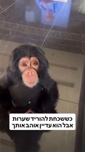 ‎SmartView שוק ההון‎ on Instagram: "#reels #instagood #trending"