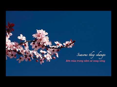 Spring Rain- Oscar Dunbar (One Spring Night OST) [Lyrics+Vietsub]