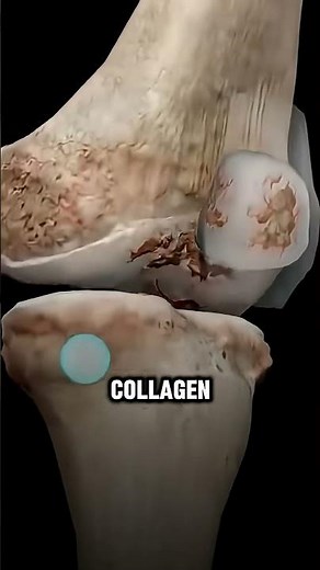 What Happens When You Eat Bone Marrow Daily? | Health Benefits #bonemarrow #healthtips #superfood