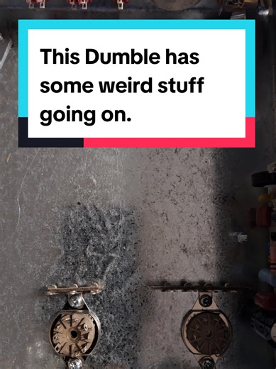 Installing the rear panel off-board components. This amp is weird. #ampbuild #overdrivespecial #diyprojects #wiring #dumble