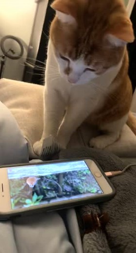 Gabby Carter (@gabbycarter56)’s videos with original sound - Gabby Carter