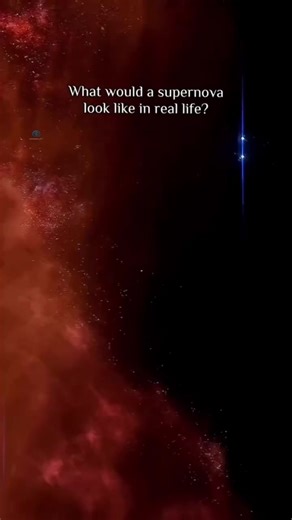 A supernova is one of the most powerful events in the universe. It occurs when a massive star exhausts its nuclear fuel and can no longer resist its own gravity. The core collapses in a fraction of a second, triggering a colossal explosion that releases more energy than our Sun will emit in its entire lifetime. For a brief period, a single supernova can shine brighter than an entire galaxy. These explosions are not just endings - they are cosmic creators. Supernovae forge heavy elements like iro