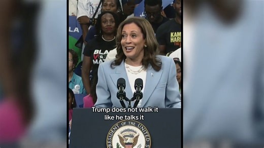 Kamala Harris rides viral meme 'wave' as campaign seizes organic momentum