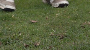 Slow motion of a mid-length pitch shot. What do you see/notice? Learn how to strike the ball better and reduce fat/thin shots with The Strike Plan - https://www.adamyounggolf.com/the-strike-plan/?utm_campaign=meetedgar&utm_medium=social&utm_source=meetedgar.com | Adam Young Golf