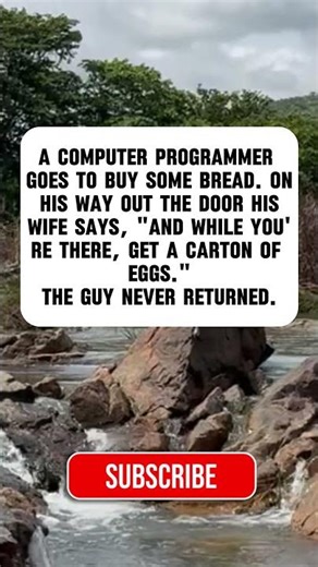 Programmer Logic 😂💻