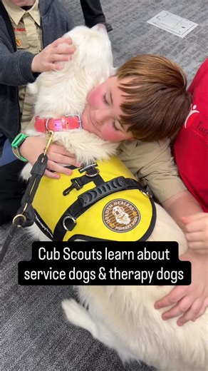 Tonight I presented to a very special group of upcoming leaders - our cub scouts ❤️ I discussed the difference between service dogs and therapy dogs and gave the kids the opportunity to see both Biscuit & Honey do what they do best, be calm, kind and patient. I demonstrated how Biscuit will allow someone to hug her tight without squirming and simply hold space with gentleness for that person. It was so heartwarming to see each child talk to and hug the pups ❤️ I offer educational and wellness ex