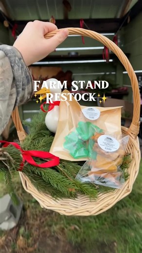 Stout Ridge Ranch on Instagram: "Newest addition to the stand: “Dale Approved Dog Treats” 🤎 I also added more antiques, Christmas cookies and pine swags! 🌲 Weather was crappy today so I don’t expect to sell out- stay tuned to see if anything sold tomorrow! ✨ #farmstand #restock"