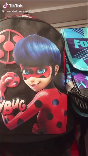 Ladybug Backpack Collection in One Store