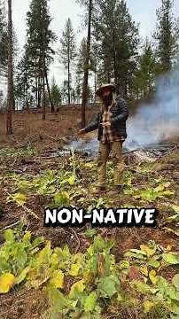 How land restoration is 1 step forward and 2 steps back