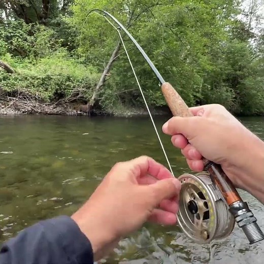 That Big Trout SMASHED My Streamer Right as it Touched the Water
