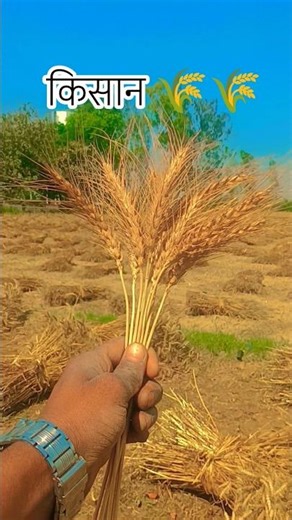 किसान 🌾👳🏿‍♀️❤️✅
