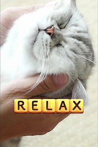 50K views | Check out the most addictive WORD GAME now!!! Hundreds of levels await you. Challenge your vocab! | Word Connect Community | Facebook