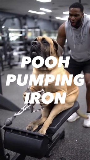 PoohBear The Mastiff on Instagram: "Pooh is Pumping Iron with his trainer!! Let’s go big dog! #poohbearthemastiff #workout #fitness #strong #fitnessmodel #babydonthurtme #mikeohearn #trainingday #healthy #mastiff #bigdog #dogsofinstagram #muscles"