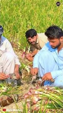 आखिर प्याज में इंजेक्शन क्यों लगाया 🤯 | ‪@MRINDIANHACKER‬ ‪@CrazyXYZ‬ #shorts #shortvideo #viral