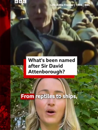 A palaeontologist thought one extinct reptile was so unique from other species of its kind it deserved a new name – Attenborosaurus. #DavidAttenborough #Reptiles #Plants #History #OurPlanet #BBCNews