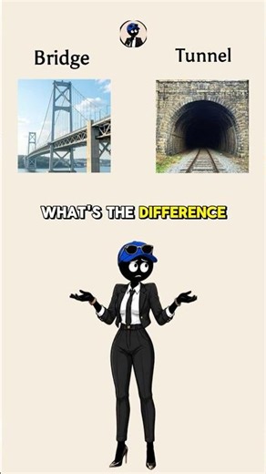 What's the diffrenece ? #didyouknow #diffrence #english #facts #learning