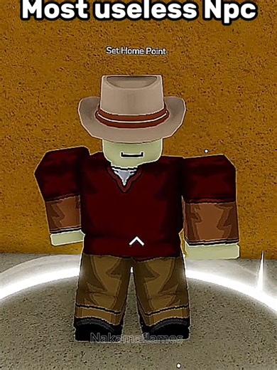 Exploring the Most Useless NPC in Blox Fruits