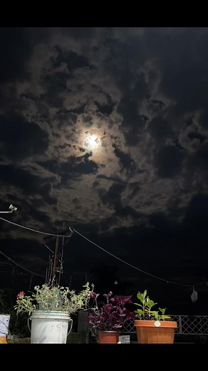 Discover the Beautiful Life of Nepal | Vlogs and Daily Diary