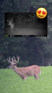 47 reactions | Hey good lookin’  Moultrie Mobile | Phone Skope | The Breaking Point | Facebook