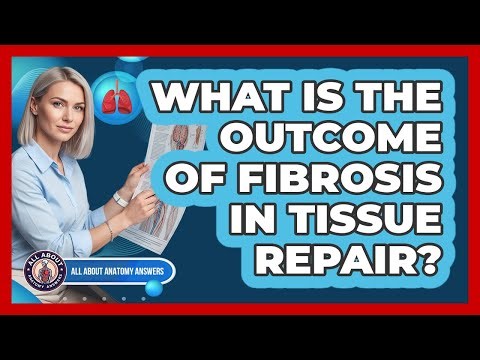 What Is The Outcome Of Fibrosis In Tissue Repair?