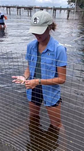 2.5K reactions · 62 shares | This is what we’re working to SAVe!  We’re seeing results of longer, more robust submerged aquatic vegetation (SAV) inside of our temporary protective enclosures. We are wrapping up our July 2025 #SAVeOurRiversGrasses field visit today. Stay tuned as we share more of our findings next week! #conservation #florida #StJohnsRiver | St. Johns Riverkeeper | Facebook