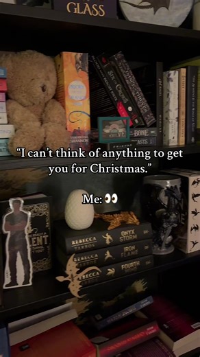 My house is a giant ad for the perfect gift. #fantasybooktok #fantasyromance #booktok #booksforchristmas #booktokers