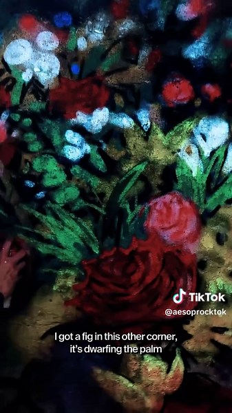 Aesop Rock's New Music Video: Costco