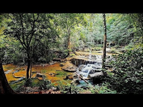 Relaxing Jungle Waterfall 🌴 Nature Sounds for Sleep & Meditation | 10 Hours