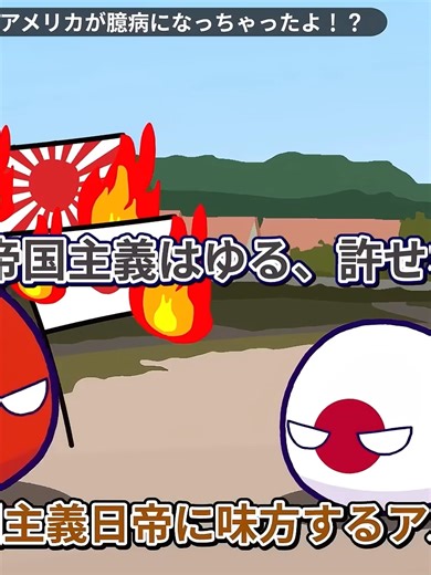 ポーランドボール (14)