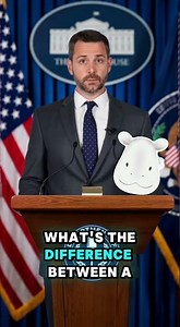 Department of Dad Jokes: Briefing #020