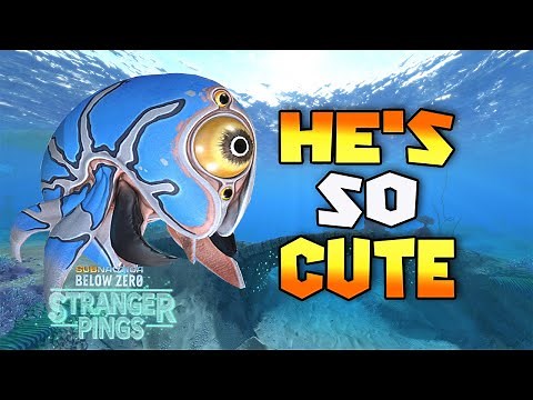 TRIVALVE EGG LOCATION - Cute Fish - Subnautica Below Zero