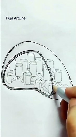 How to Draw chloroplast/Biology/Science project/Easy trick to draw #chloroplast #biology #science