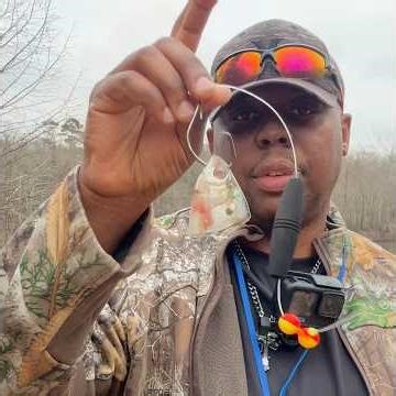 Threadfin Shad On The Menu #bluecat #fishing