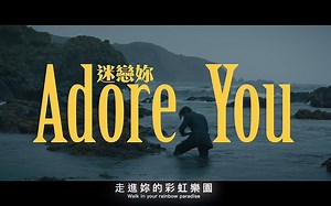 【中字】Harry Styles哈里·斯泰尔斯 - Adore You (迷恋你)