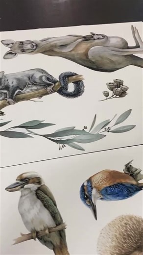 Australian Animal Wall Stickers: Koala, Kangaroo, Emu Fabric Decals - Etsy Australia