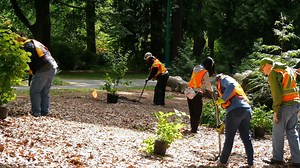 An Arbor Day message from Arbor Day Foundation President Dan Lambe. The time to plant trees is now. | Arbor Day Foundation