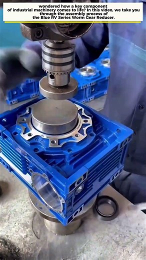 Assembly Process of Blue RV Series Worm Gear Reducer | Industrial Mechanics